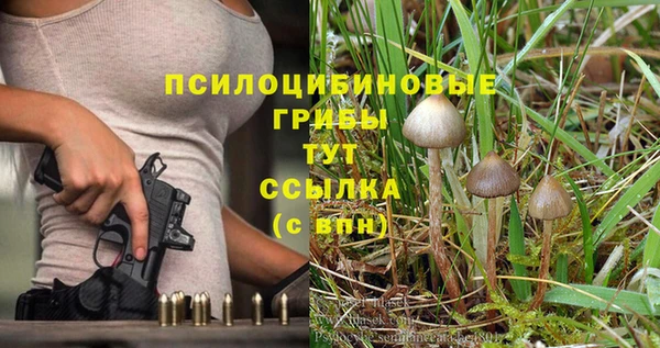 MESCALINE Инсар