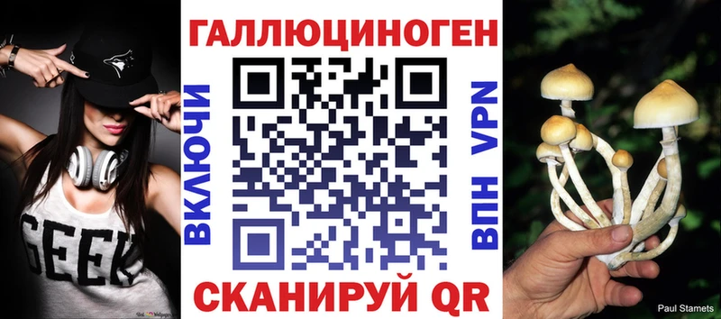 Купить  Сосновоборск  Псилоцибиновые грибы Cubensis 