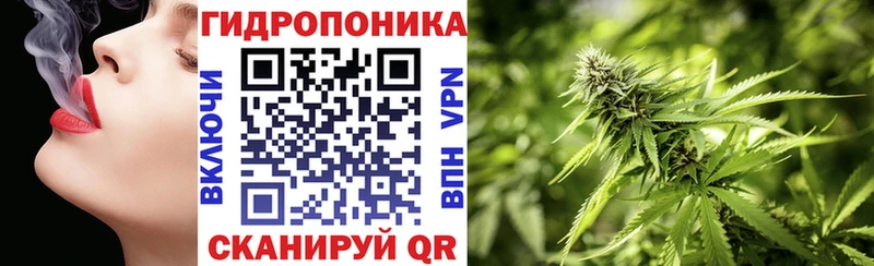 Бошки марихуана марихуана Сосновоборск